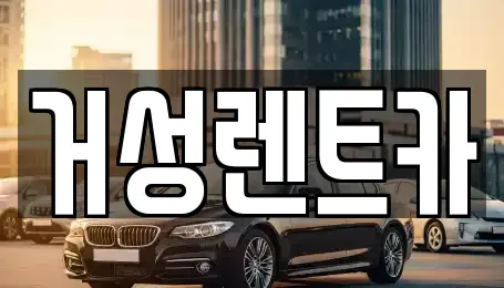 대구 서구 중리동 렌트카 전문 거성렌트카
