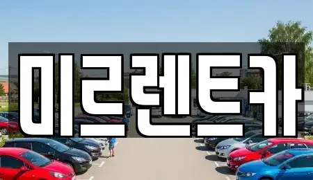 대구 서구 중리동 렌트카 전문 미르렌트카