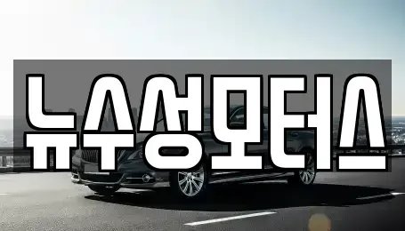 대구 서구 중리동 중고차매매 전문 뉴수성모터스