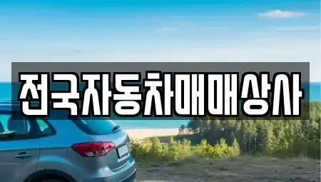 대구 서구 중리동 중고차매매 전문 전국자동차매매상사