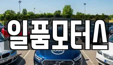 대구 서구 중리동 중고차매입 전문 일품모터스