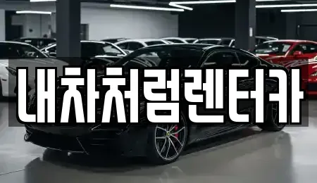 대구 수성구 노변동 렌트카 전문 내차처럼렌터카