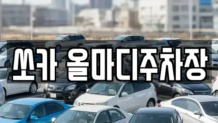 대구 수성구 노변동 렌트카 전문 쏘카 올마디주차장