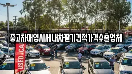 대구 수성구 노변동 중고차 전문 중고차매입시세내차팔기견적가격수출업체
