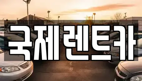 대구 수성구 두산동 렌트카 전문 국제렌트카
