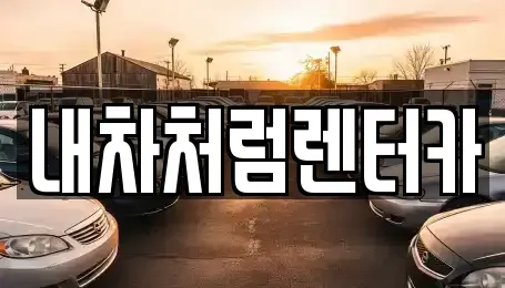 대구 수성구 두산동 렌트카 전문 내차처럼렌터카