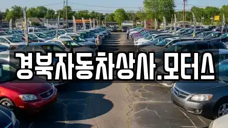 대구 수성구 두산동 중고차 전문 경북자동차상사.모터스