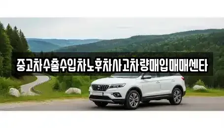 대구 수성구 두산동 중고차 전문 중고차수출수입차노후차사고차량매입매매센타
