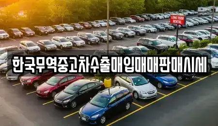 대구 수성구 두산동 중고차 전문 한국무역중고차수출매입매매판매시세