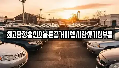 대구 수성구 범물동 중고차 전문 최고탐정흥신소불륜증거미행사람찾기심부름