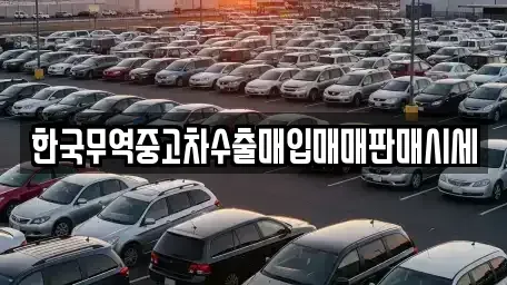 대구 수성구 범물동 중고차 전문 한국무역중고차수출매입매매판매시세