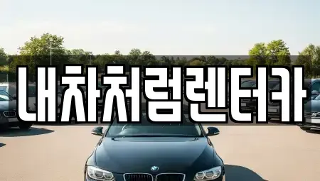 대구 수성구 신매동 렌트카 전문 내차처럼렌터카