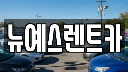 대구 수성구 신매동 렌트카 전문 뉴예스렌트카