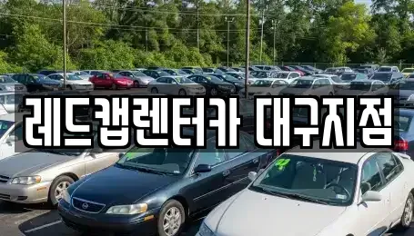 대구 수성구 신매동 렌트카,단기렌트카,장기렌트카,중고차,중고차매매,중고차매입
