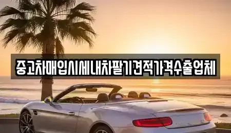 대구 수성구 신매동 중고차매입 전문 중고차매입시세내차팔기견적가격수출업체