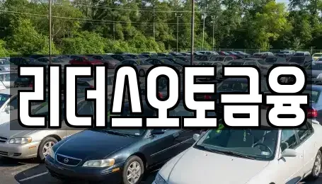대구 중구 계산동1가 렌트카 전문 리더스오토금융