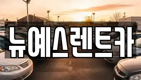 대구 중구 인교동 렌트카 전문 뉴예스렌트카