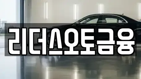대구 중구 인교동 렌트카 전문 리더스오토금융