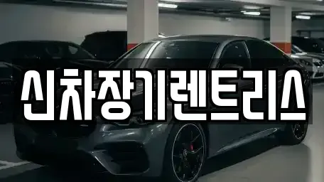 대구 중구 인교동 렌트카 전문 신차장기렌트리스