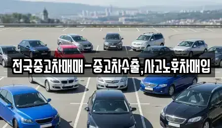대구 중구 인교동 중고차매매 전문 전국중고차매매-중고차수출,사고노후차매입