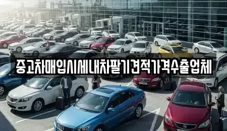 대구 중구 인교동 중고차매입 전문 중고차매입시세내차팔기견적가격수출업체