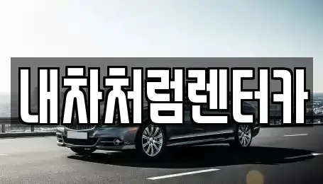 대구광역시 달서구 월성동 렌트카 전문 내차처럼렌터카