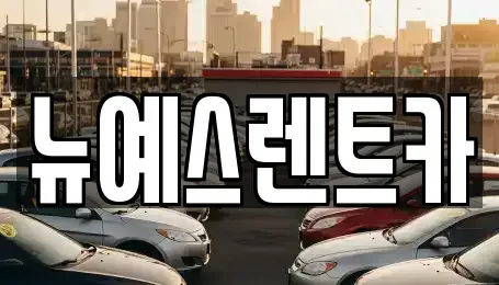 대구광역시 달서구 월성동 렌트카 전문 뉴예스렌트카