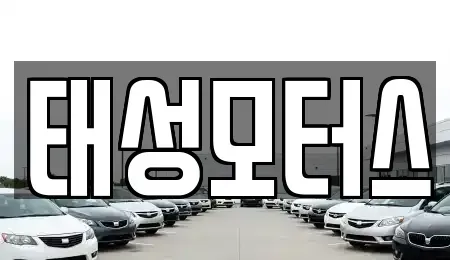 대구광역시 달서구 월성동 중고차 전문 태성모터스