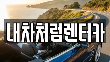 대구광역시 동구 숙천동 렌트카 전문 내차처럼렌터카