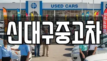 대구광역시 동구 숙천동 중고차매매 전문 신대구중고차