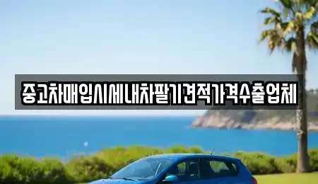 대구광역시 동구 숙천동 중고차매입 전문 중고차매입시세내차팔기견적가격수출업체