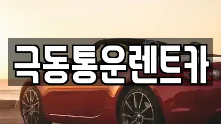대구광역시 동구 효목동 렌트카 전문 극동통운렌트카