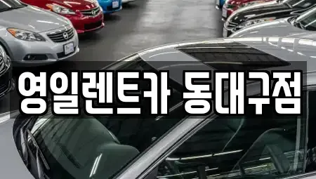 대구광역시 동구 효목동 렌트카 전문 영일렌트카 동대구점