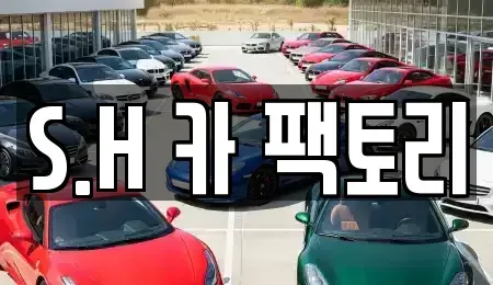 대구광역시 동구 효목동 중고차 전문 S.H 카 팩토리