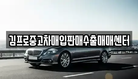 대구광역시 동구 효목동 중고차매입 전문 김프로중고차매입판매수출매매센터