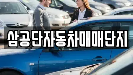 대구광역시 북구 노원동1가 중고차매매 전문 삼공단자동차매매단지