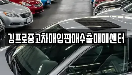 대구광역시 북구 노원동1가 중고차매입 전문 김프로중고차매입판매수출매매센터