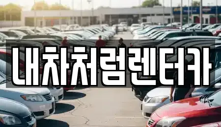 대구광역시 북구 서변동 렌트카 전문 내차처럼렌터카