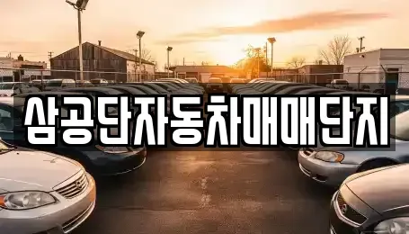 대구광역시 북구 서변동 중고차매매 전문 삼공단자동차매매단지