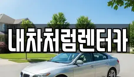 대구광역시 수성구 매호동 렌트카 전문 내차처럼렌터카