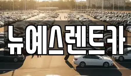 대구광역시 수성구 매호동 렌트카 전문 뉴예스렌트카