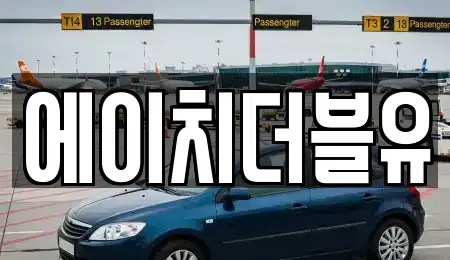 대구광역시 수성구 매호동 렌트카 전문 에이치더블유