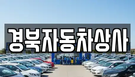 대구광역시 수성구 매호동 중고차 전문 경북자동차상사