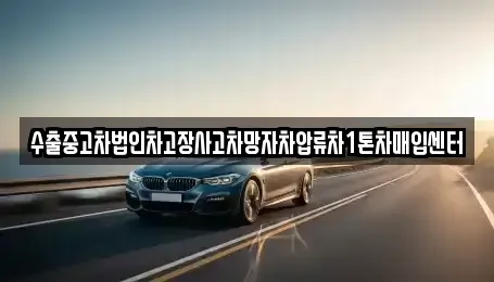 대구광역시 수성구 매호동 중고차 전문 수출중고차법인차고장사고차망자차압류차1톤차매입센터
