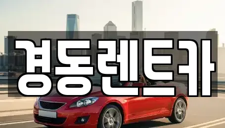 대구광역시 중구 삼덕동3가 렌트카 전문 경동렌트카