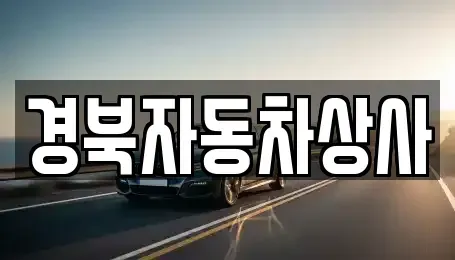 대구광역시 중구 삼덕동3가 중고차 전문 경북자동차상사