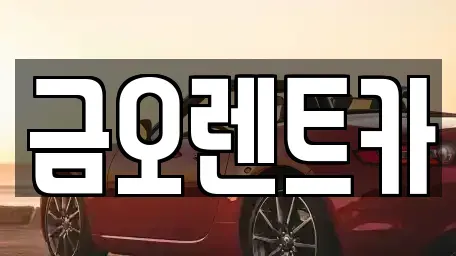 대구광역시 중구 태평로3가 단기렌트카 전문 금오렌트카