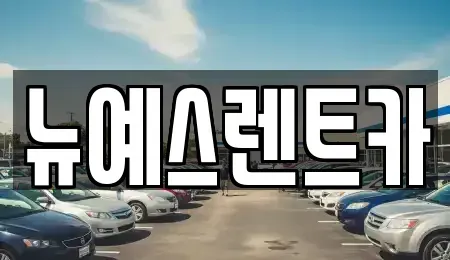 대구광역시 중구 태평로3가 렌트카 전문 뉴예스렌트카