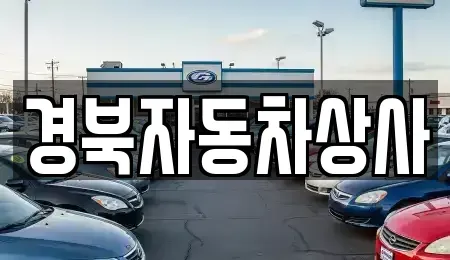 대구광역시 중구 태평로3가 중고차매매 전문 경북자동차상사