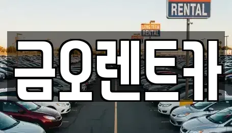 대구광역시 중구 포정동 렌트카 전문 금오렌트카